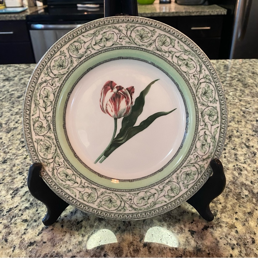 Royal Horticultural Society Applebee Collection 8” Salad Dessert Plate Set of 4